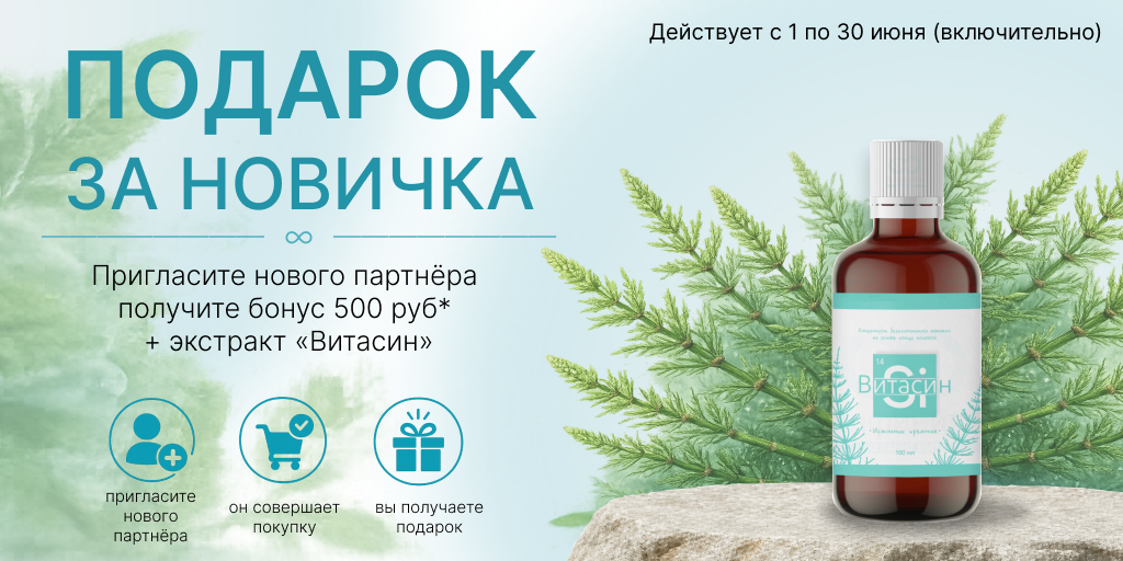 Новый друг