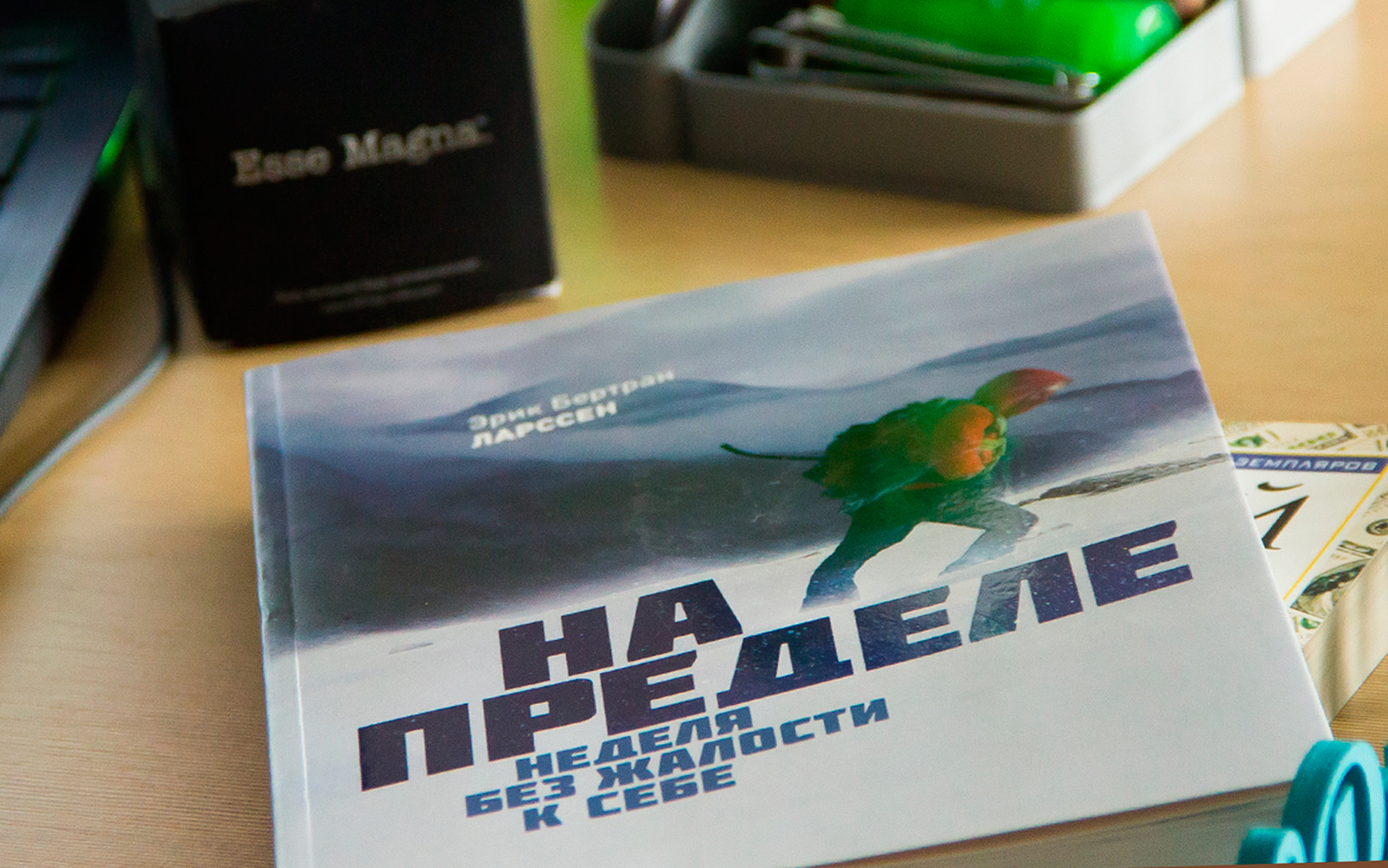 Книга 'На пределе. неделя без жалости к себе', Эрик Бертран Ларссен - любимая книга директора НПК инфинити 